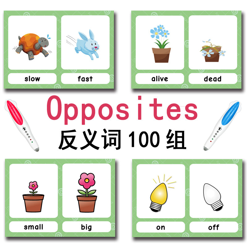 The 100 Groups Opposites Flash - Kid Education recension och pris